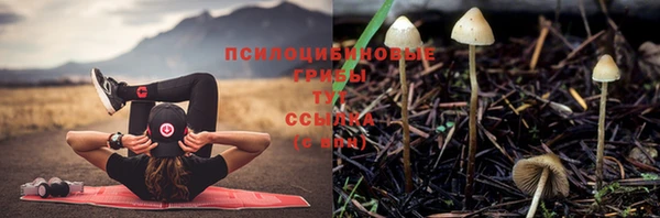 кристаллы Елизово