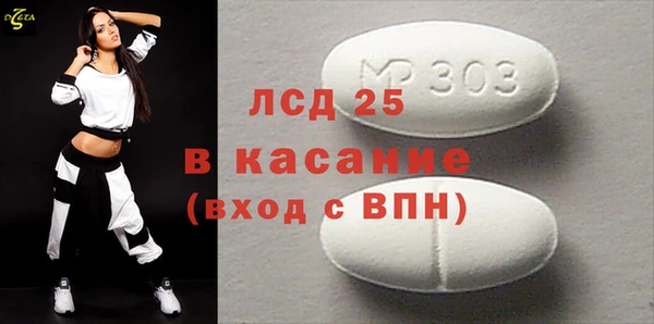 индика Елабуга