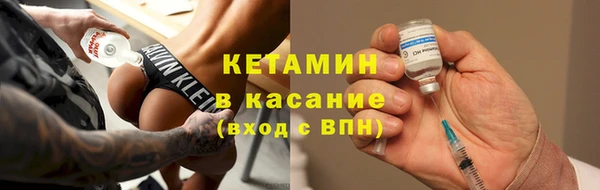 индика Елабуга