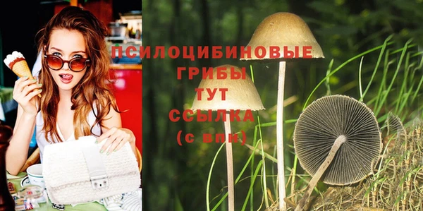 индика Елабуга