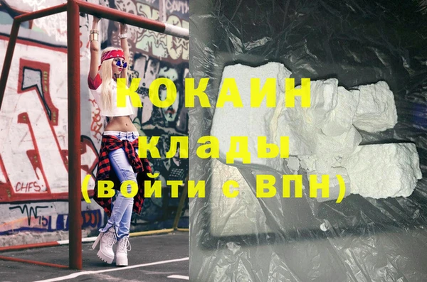индика Елабуга
