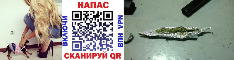 Купить закладки  Гаврилов-Ям  Марихуана ГИДРОПОН 